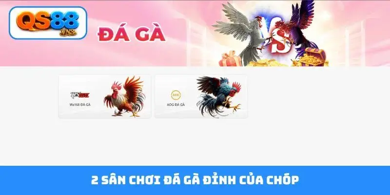2 sân chơi đá gà đỉnh của chóp