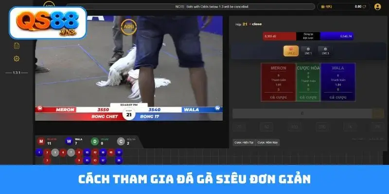 Cách tham gia đá gà siêu đơn giản
