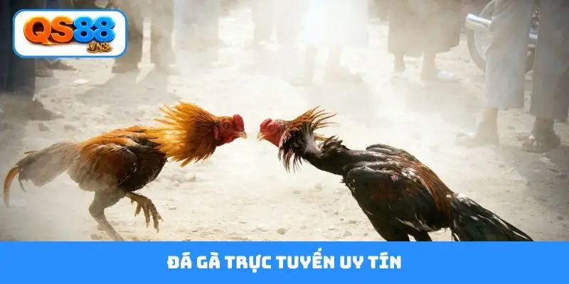 đá gà trực tuyến uy tín