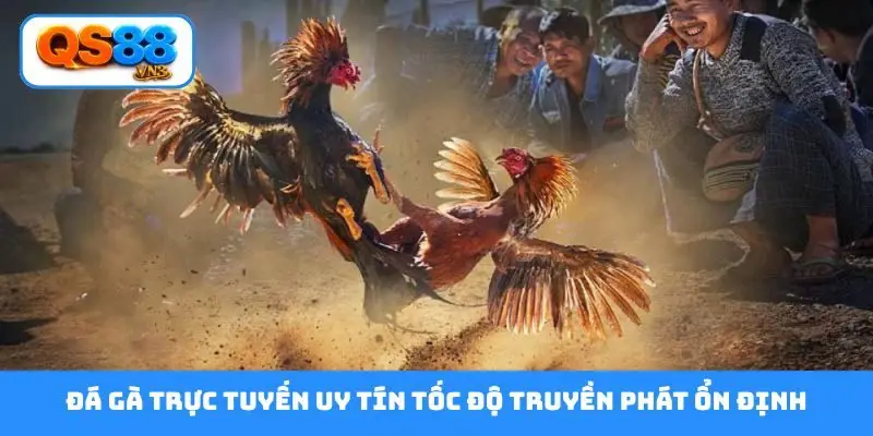 Đá gà trực tuyến uy tín tốc độ truyền phát ổn định