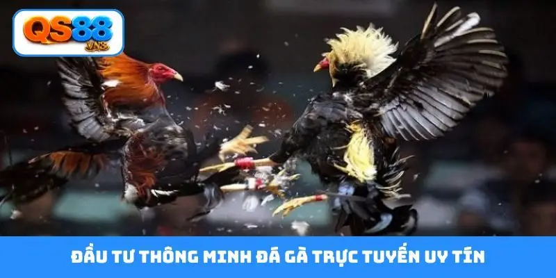 Đầu tư thông minh đá gà trực tuyến uy tín