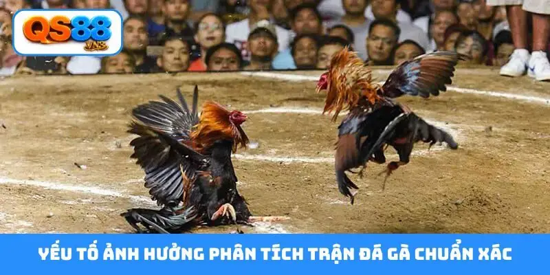 Yếu tố ảnh hưởng phân tích trận đá gà chuẩn xác
